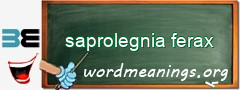 WordMeaning blackboard for saprolegnia ferax